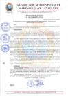 Vista preliminar de documento RESOLUCION DE ALCALDIA Nº 136