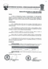 Vista preliminar de documento Resolucion