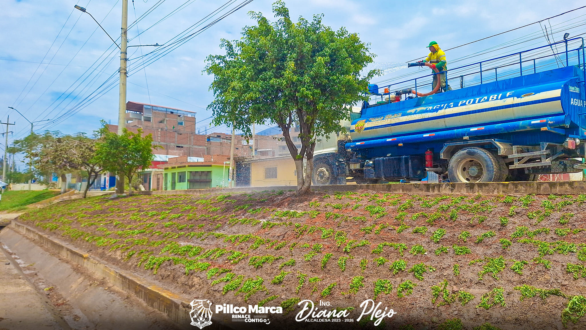 La imagen muestra un personal regando las plantas recién sembradas.