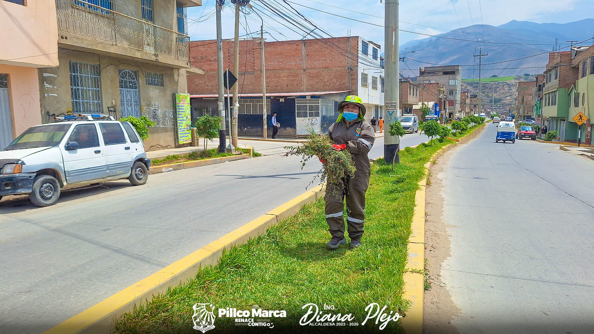La imagen muestra un personal realizando el mantenimiento de las plantas.