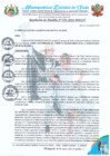 Vista preliminar de documento RA 194-2024 conformación del COMITE DE RECONOCIMIENTOS