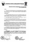 Vista preliminar de documento Resolucion