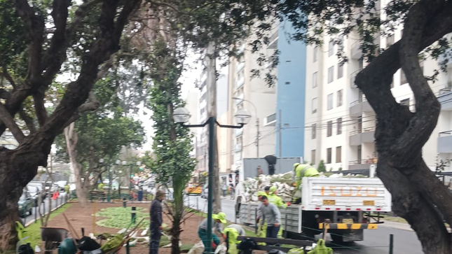 Nuestro equipo de Áreas Verdes realizó trabajos de mantenimiento para mejorar y embellecer los jardines del  Parque Olavegoya.
 Les recordamos poner en práctica la #TenenciaResponsable de mascotas, evitando que rasquen el césped y recogiendo sus excretas. 
 ¡Trabajando juntos, lograremos un distrito más verde!