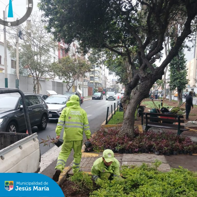 Nuestro equipo de Áreas Verdes realizó trabajos de mantenimiento para mejorar y embellecer los jardines del  Parque Olavegoya.
 Les recordamos poner en práctica la #TenenciaResponsable de mascotas, evitando que rasquen el césped y recogiendo sus excretas. 
 ¡Trabajando juntos, lograremos un distrito más verde!