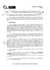 Vista preliminar de documento RDR 6795-2024