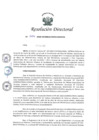 Vista preliminar de documento RSOLUCION DIRECTORAL 004-2020-DGPRVU