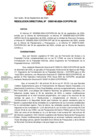Vista preliminar de documento RD N° D000145-2024-DE