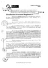 Vista preliminar de documento RDR 6817-2024