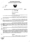Vista preliminar de documento RDR 6818-2024