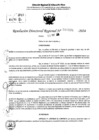 Vista preliminar de documento RDR 6826-2024