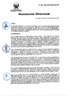 Vista preliminar de documento RD Nº 223-2024-DGINSM-HD-HN