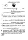 Vista preliminar de documento RDR 6832-2024