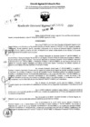 Vista preliminar de documento RDR 6833-2024