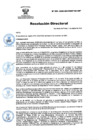 Vista preliminar de documento RD Nº 224-2024-DGINSM-HD-HN