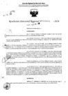 Vista preliminar de documento RDR 6834-2024