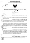 Vista preliminar de documento RDR 6835-2024