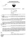 Vista preliminar de documento RDR 6837-2024