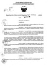 Vista preliminar de documento RDR 6838-2024