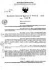Vista preliminar de documento RDR 6954-2024