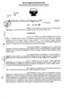 Vista preliminar de documento RDR 6955-2024