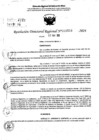 Vista preliminar de documento RDR 6958-2024