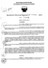 Vista preliminar de documento RDR 6960-2024
