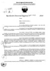 Vista preliminar de documento RDR 6845-2024