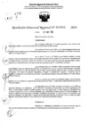 Vista preliminar de documento RDR 6962-2024