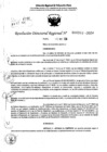 Vista preliminar de documento RDR 6963-2024