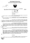 Vista preliminar de documento RDR 6846-2024