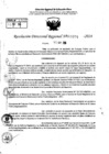 Vista preliminar de documento RDR 6974-2024