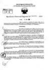 Vista preliminar de documento RDR 6976-2024