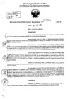 Vista preliminar de documento RDR 7201-2024