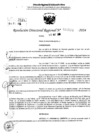 Vista preliminar de documento RDR 6853-2024