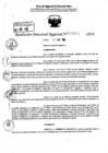Vista preliminar de documento RDR 7204-2024