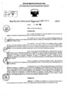 Vista preliminar de documento RDR 7205-2024