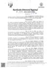 Vista preliminar de documento RDR Nº 3379-2024-GRSM-DRE