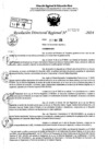 Vista preliminar de documento RDR 7207-2024