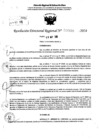 Vista preliminar de documento RDR 6855-2024