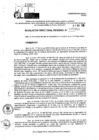 Vista preliminar de documento RDR 7210-2024