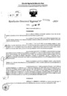 Vista preliminar de documento RDR 6856-2024