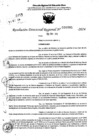 Vista preliminar de documento RDR 6985-2024