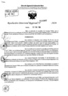 Vista preliminar de documento RDR 6987-2024