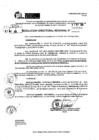 Vista preliminar de documento RDR 7216-2024