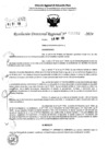 Vista preliminar de documento RDR 6862-2024