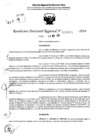 Vista preliminar de documento RDR 6863-2024