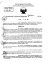 Vista preliminar de documento RDR 6997-2024