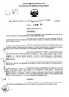 Vista preliminar de documento RDR 6865-2024
