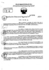 Vista preliminar de documento RDR 7004-2024