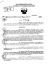 Vista preliminar de documento RDR 7005-2024